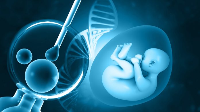 New communication discovered between human embryos and mother