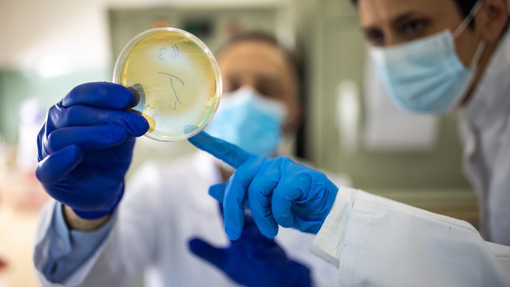 Research Uncovers How A Superbug Are Spreading Infections In Hospitals