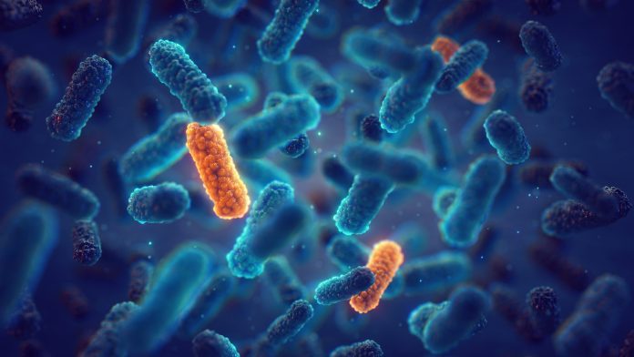 New molecule suppresses bacterial antibiotic resistance